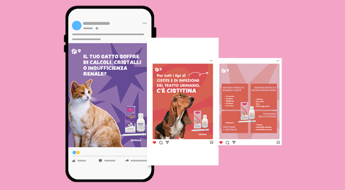 BuonaPet comunicare il benessere di cani e gatti con empatia