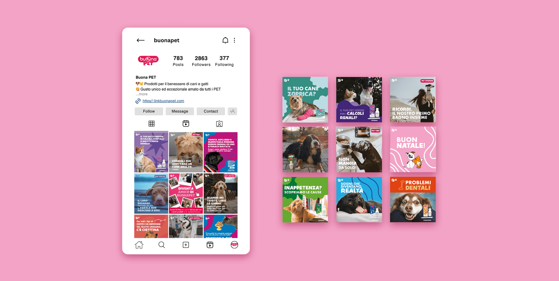 buonapet-social-wall